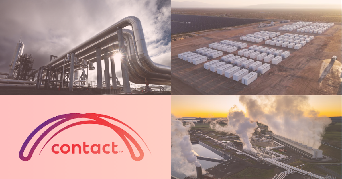 Weekly Market Update and Spotlight on Contact Energy :  From Power to Payout